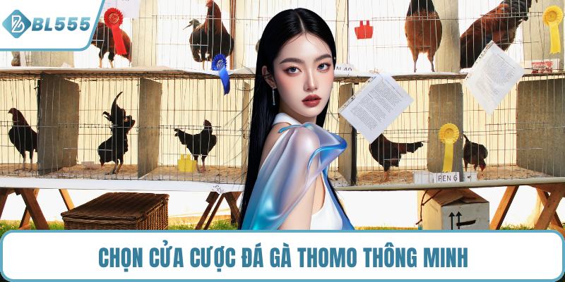 Chọn cửa cược đá gà Thomo thông minh