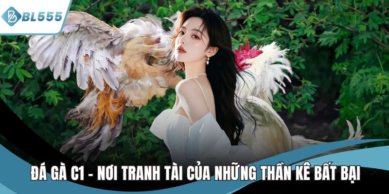 đá gà c1