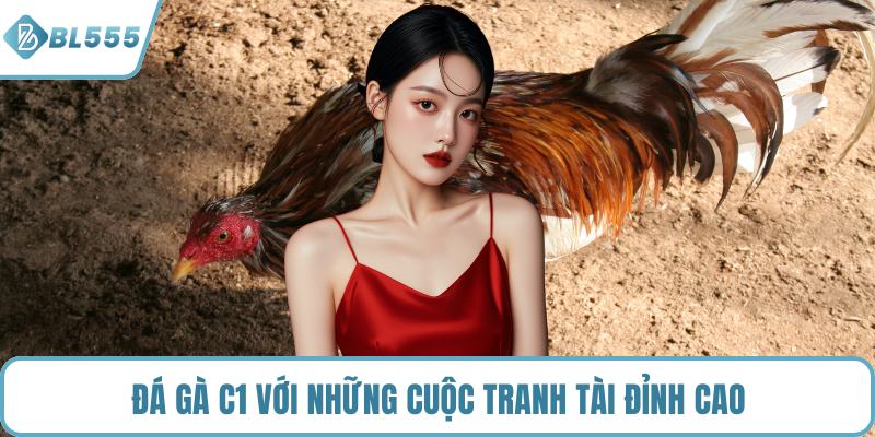 Đá gà c1 với những cuộc tranh tài đỉnh cao