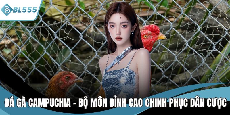 đá gà campuchia