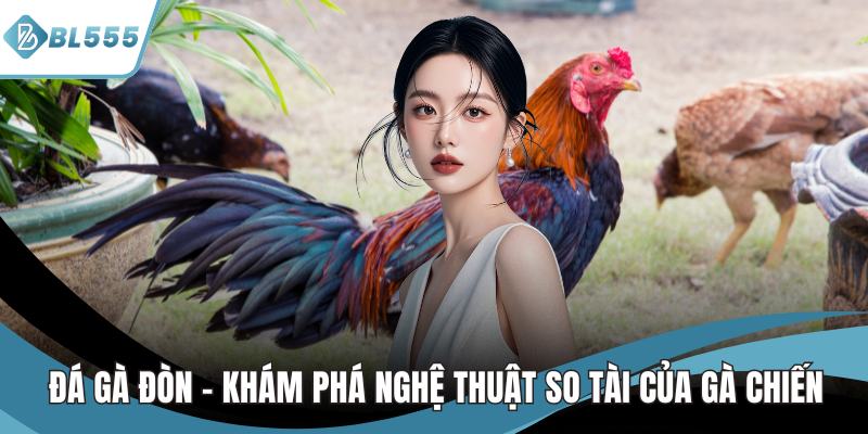 đá gà đòn