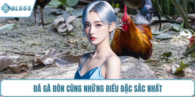 Đá gà đòn cùng những điều đặc sắc nhất