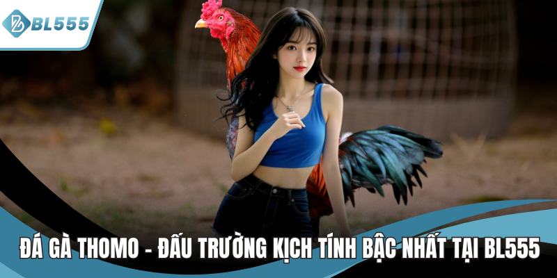 đá gà thomo