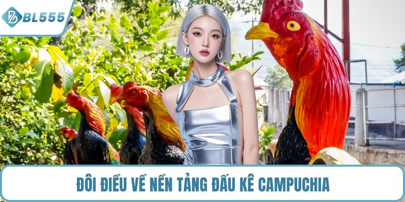 Đôi điều về nền tảng đấu kê Campuchia