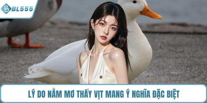 Lý do nằm mơ thấy vịt mang ý nghĩa đặc biệt