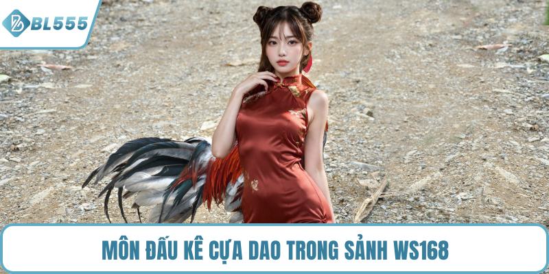 Môn đấu kê cựa dao trong sảnh WS168