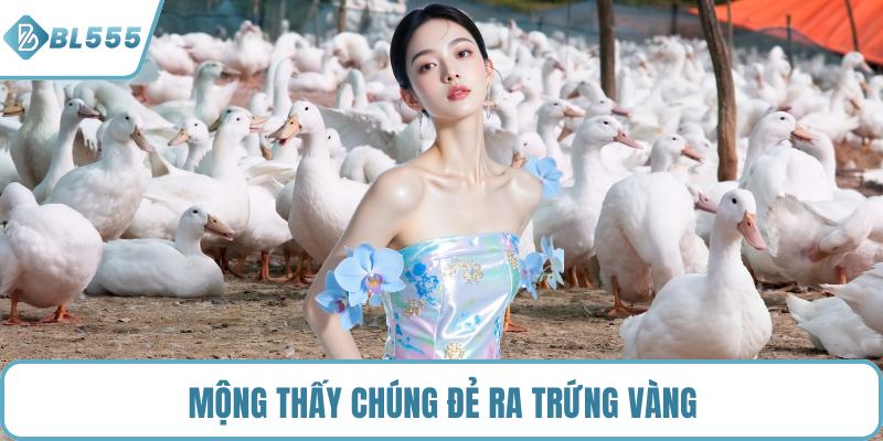 Mộng thấy chúng đẻ ra trứng vàng