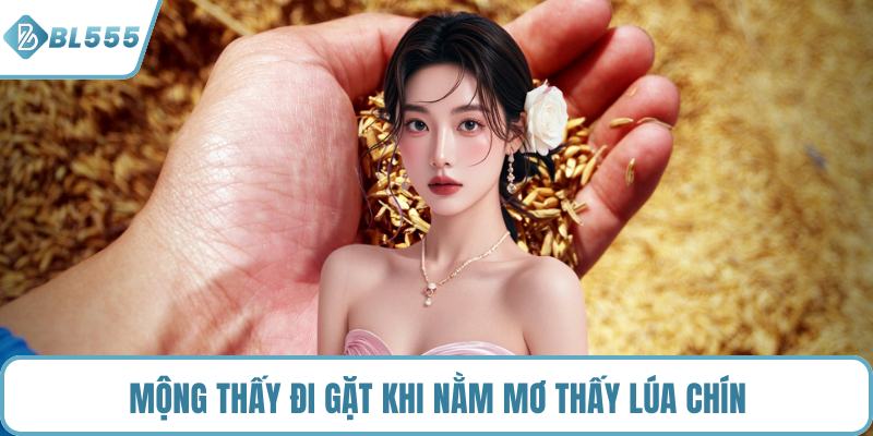 Mộng thấy đi gặt khi nằm mơ thấy lúa chín