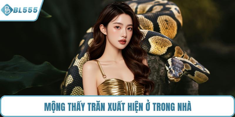 Mộng thấy trăn xuất hiện ở trong nhà