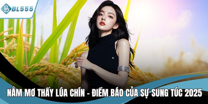 nằm mơ thấy lúa chín