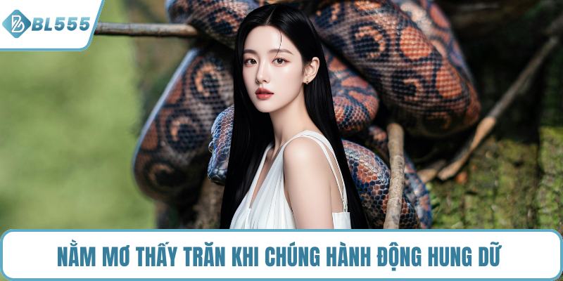 Nằm mơ thấy trăn khi chúng hành động hung dữ 