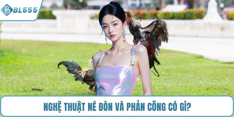 Nghệ thuật né đòn và phản công có gì?