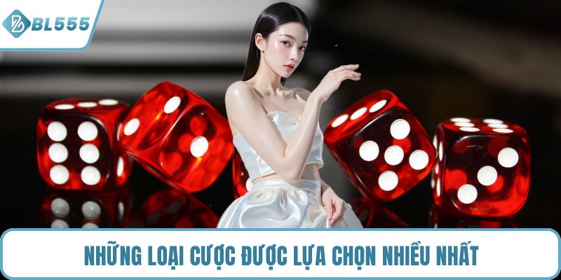 Những loại cược được lựa chọn nhiều nhất