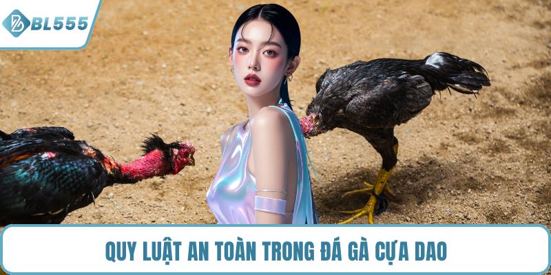 Quy luật an toàn trong đá gà cựa dao