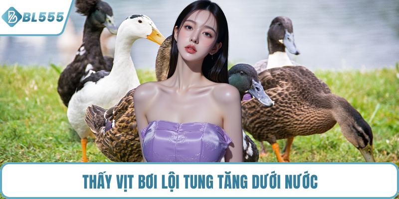Thấy vịt bơi lội tung tăng dưới nước
