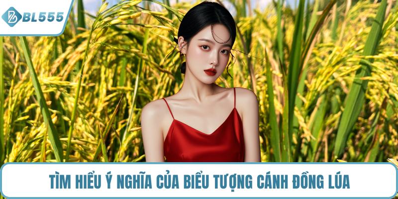 Tìm hiểu ý nghĩa của biểu tượng cánh đồng lúa