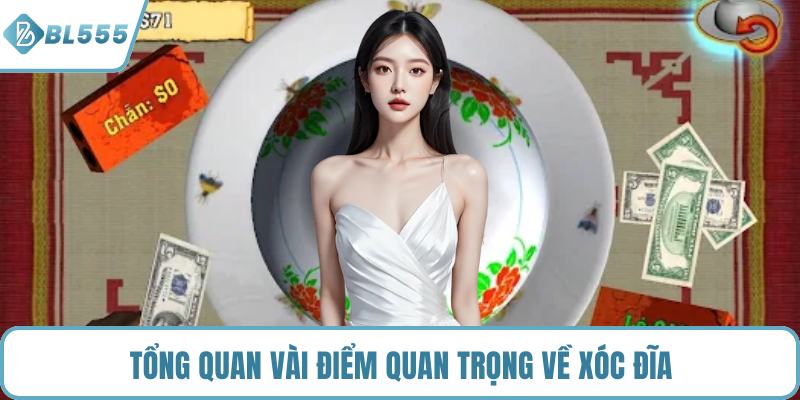 Tổng quan vài điểm quan trọng về xóc đĩa