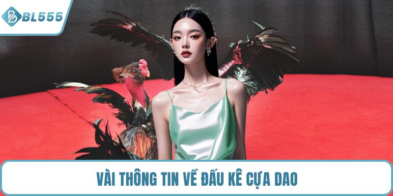 Vài thông tin về đấu kê cựa dao