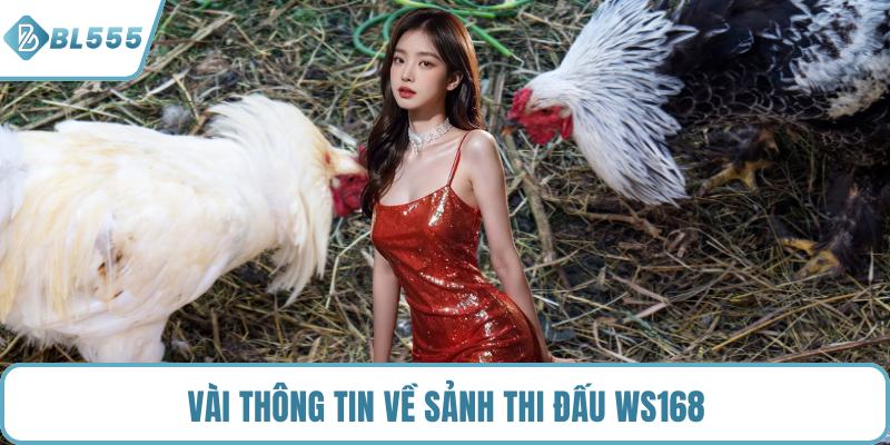 Vài thông tin về sảnh thi đấu WS168